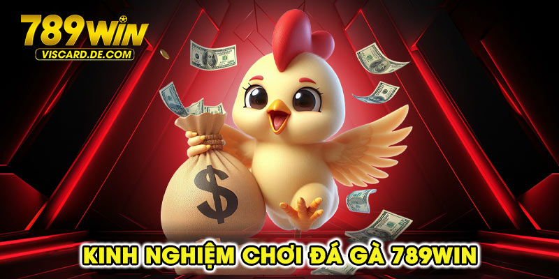 Kinh nghiệm chơi đá gà 789win chi tiết và hiệu quả