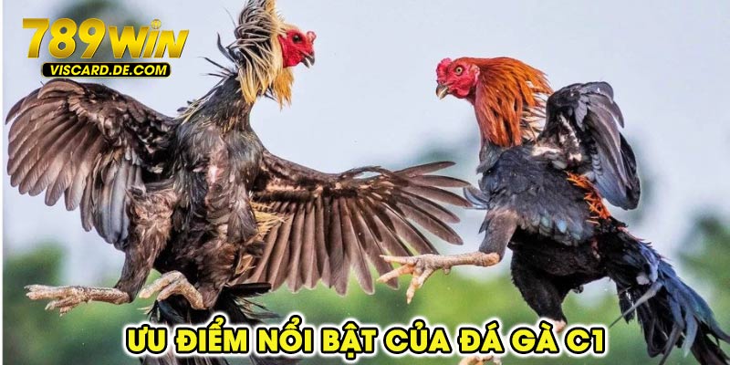 Ưu điểm nổi bật của đá gà C1